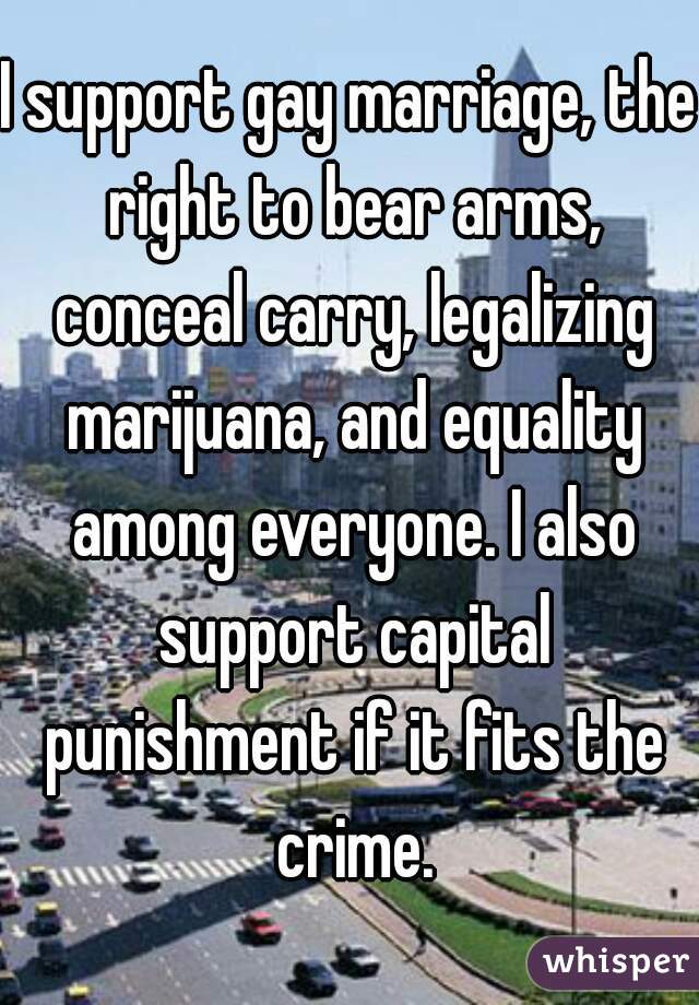 I support gay marriage, the right to bear arms, conceal carry, legalizing marijuana, and equality among everyone. I also support capital punishment if it fits the crime.