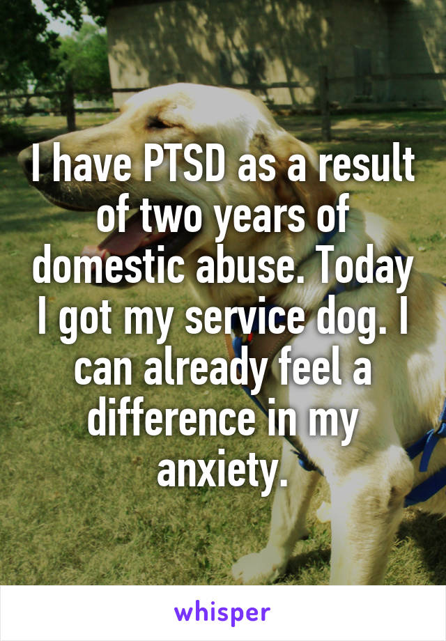 I have PTSD as a result of two years of domestic abuse. Today I got my service dog. I can already feel a difference in my anxiety.
