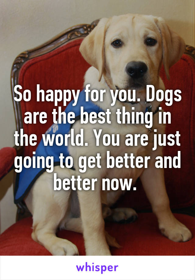 So happy for you. Dogs are the best thing in the world. You are just going to get better and better now. 