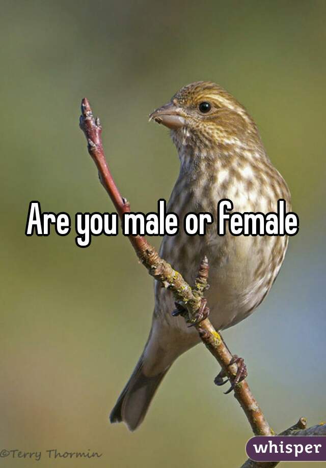 Are you male or female