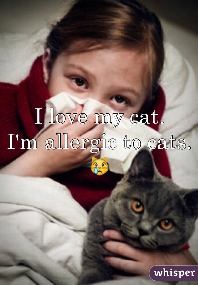 I love my cat.
I'm allergic to cats.
ðŸ˜¿