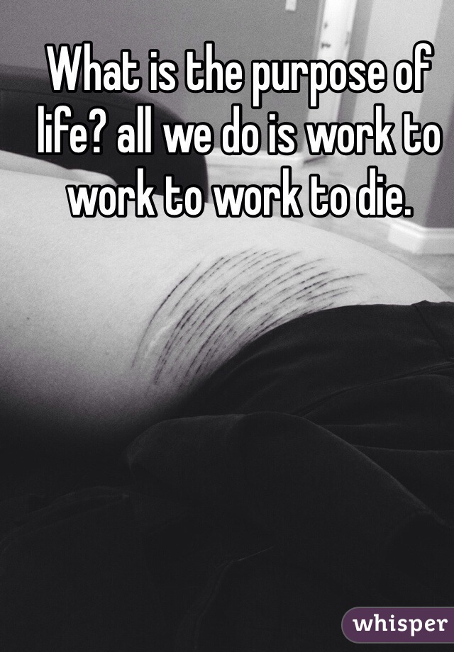 What is the purpose of life? all we do is work to work to work to die.
