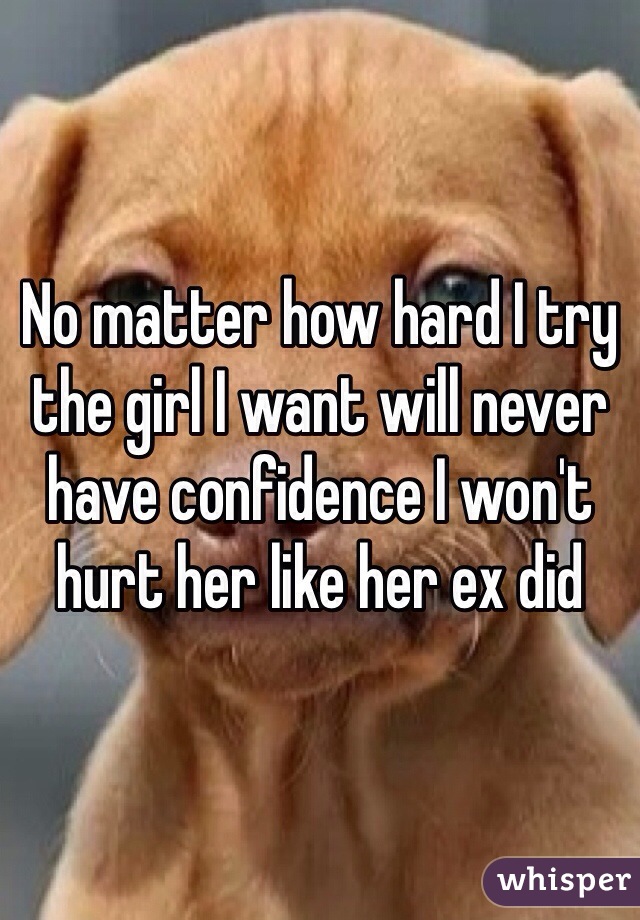 No matter how hard I try the girl I want will never have confidence I won't hurt her like her ex did