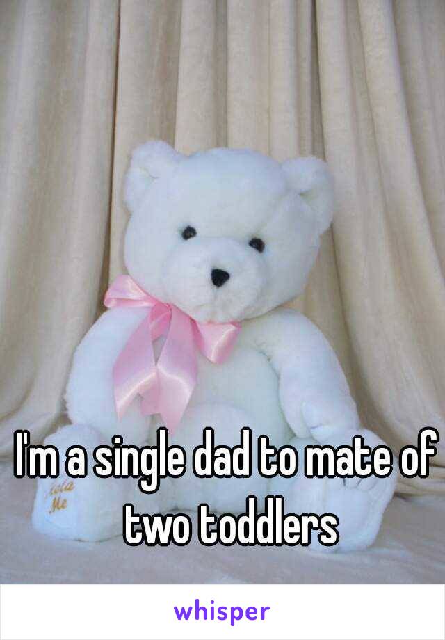 I'm a single dad to mate of two toddlers