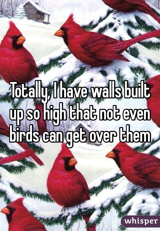 Totally, I have walls built up so high that not even birds can get over them