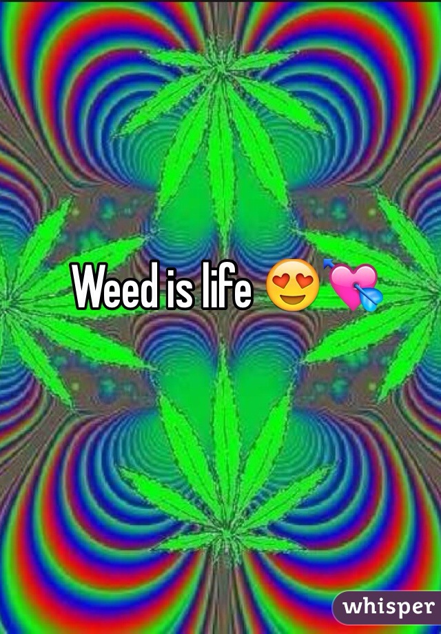 Weed is life 😍💘