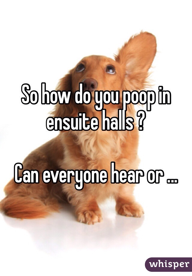 So how do you poop in ensuite halls ? 

Can everyone hear or ... 