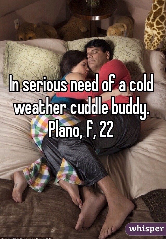 In serious need of a cold weather cuddle buddy. Plano, f, 22 