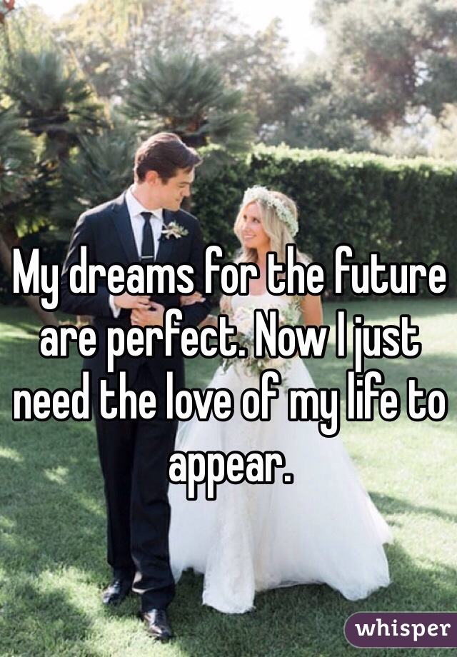 My dreams for the future are perfect. Now I just need the love of my life to appear. 
