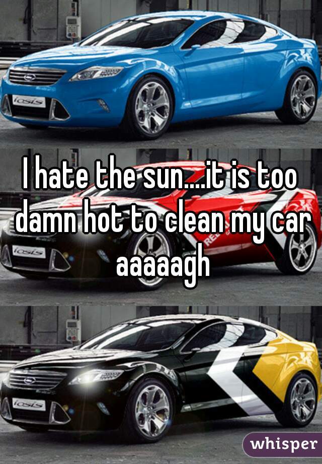 I hate the sun....it is too damn hot to clean my car aaaaagh