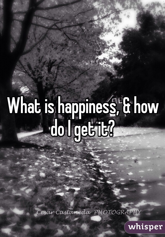What is happiness, & how do I get it?