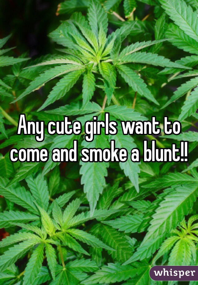 Any cute girls want to come and smoke a blunt!! 