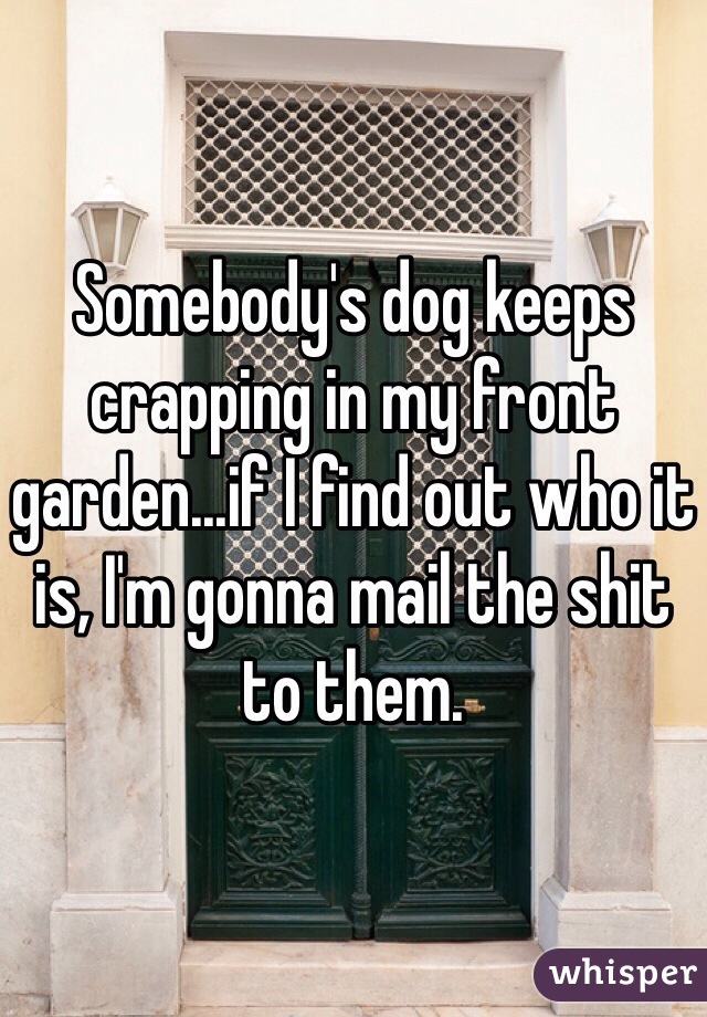 Somebody's dog keeps crapping in my front garden...if I find out who it is, I'm gonna mail the shit to them. 