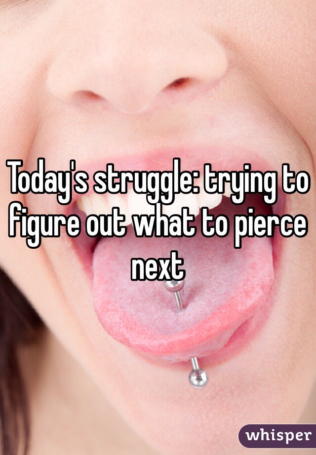 Today's struggle: trying to figure out what to pierce next 