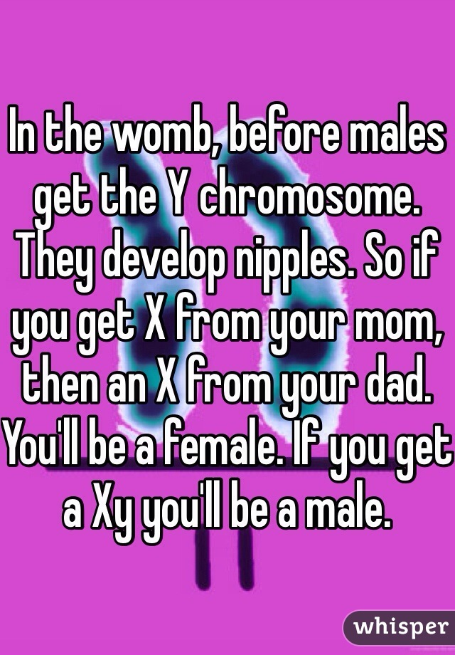 In the womb, before males get the Y chromosome. They develop nipples. So if you get X from your mom, then an X from your dad. You'll be a female. If you get a Xy you'll be a male. 