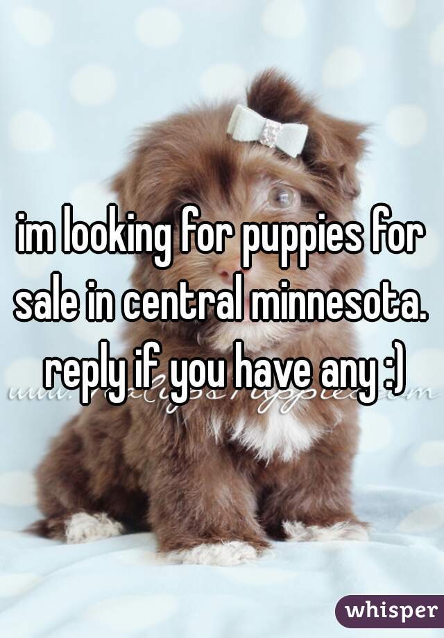 im looking for puppies for sale in central minnesota.  reply if you have any :)