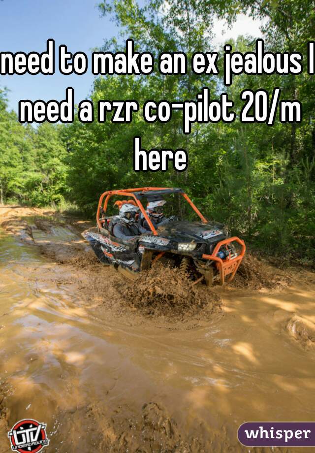 need to make an ex jealous I need a rzr co-pilot 20/m here