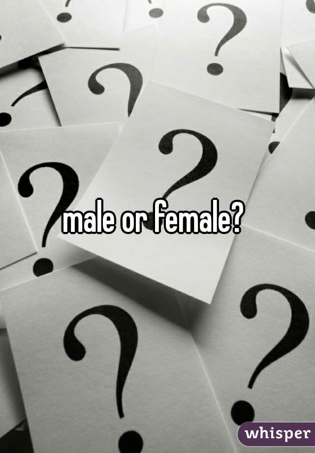 male or female? 