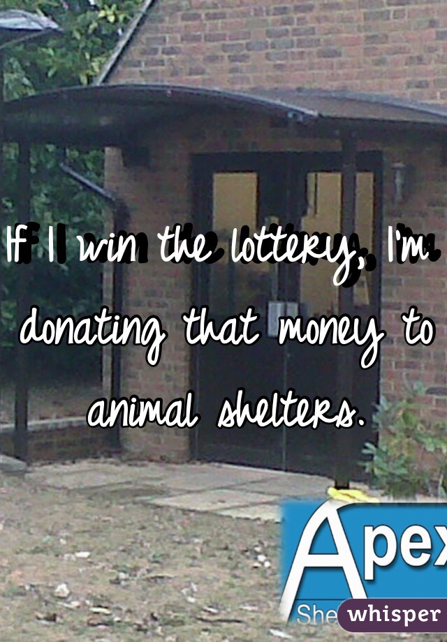 If I win the lottery, I'm donating that money to animal shelters.