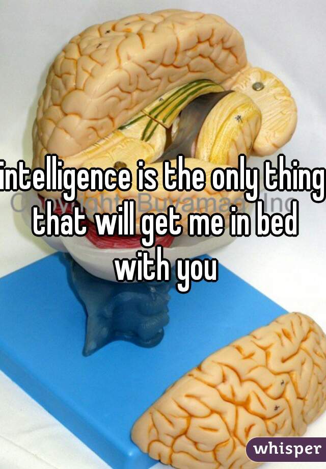 intelligence is the only thing that will get me in bed with you