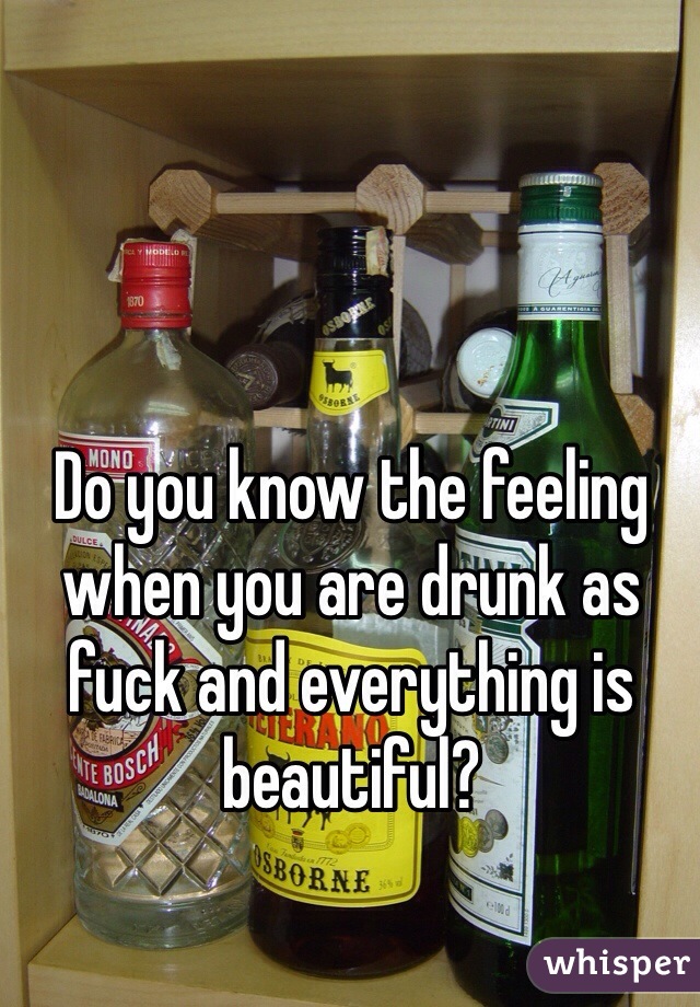 Do you know the feeling when you are drunk as fuck and everything is beautiful?