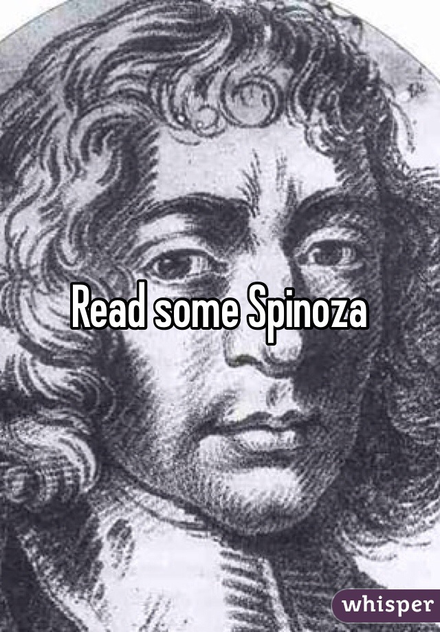 Read some Spinoza