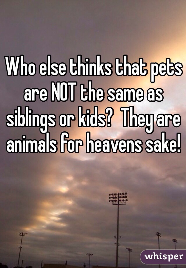 Who else thinks that pets are NOT the same as siblings or kids?  They are animals for heavens sake!
