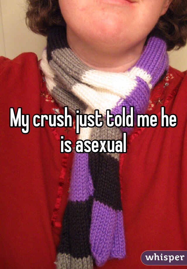 My crush just told me he is asexual 