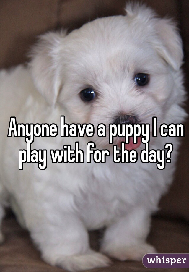 Anyone have a puppy I can play with for the day? 