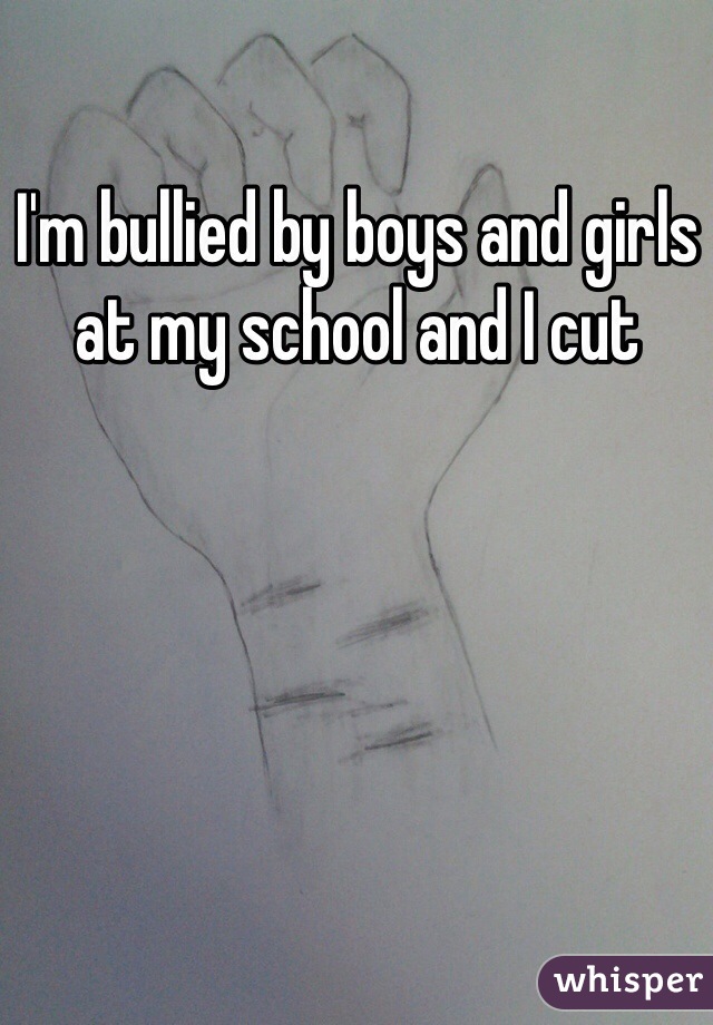 I'm bullied by boys and girls at my school and I cut