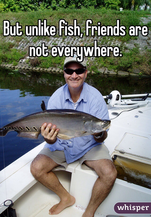But unlike fish, friends are not everywhere. 