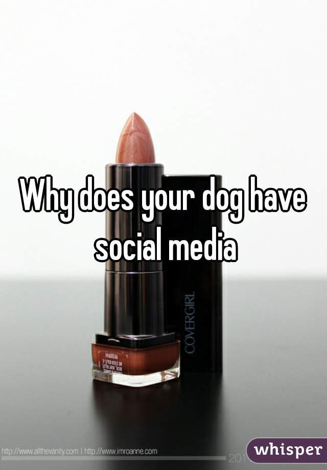 Why does your dog have social media