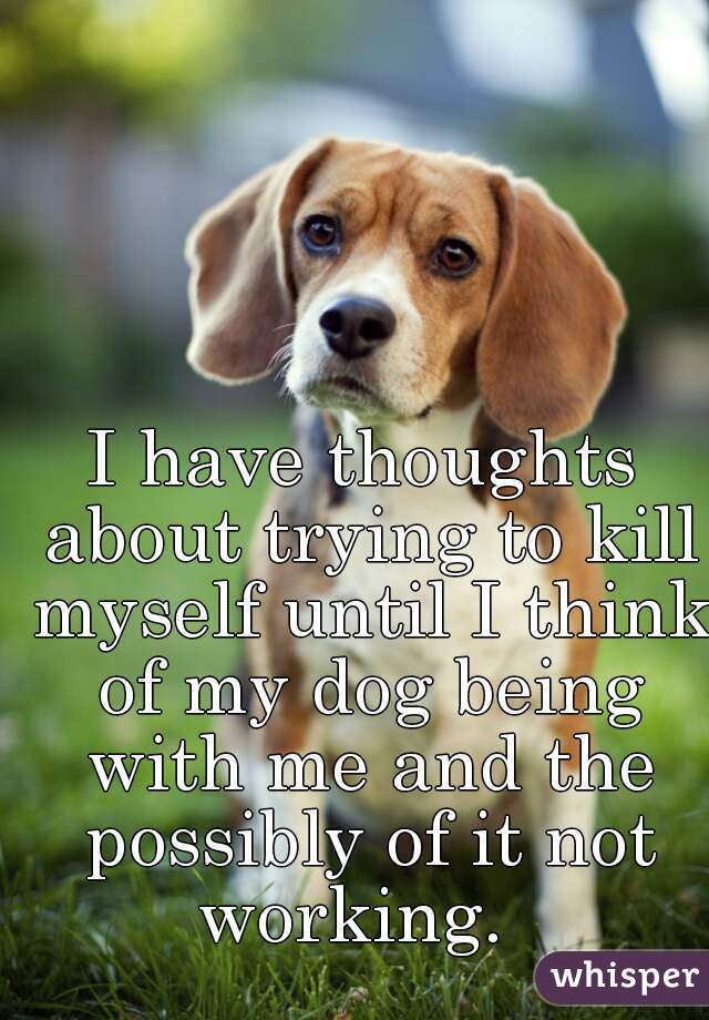 I have thoughts about trying to kill myself until I think of my dog being with me and the possibly of it not working.  