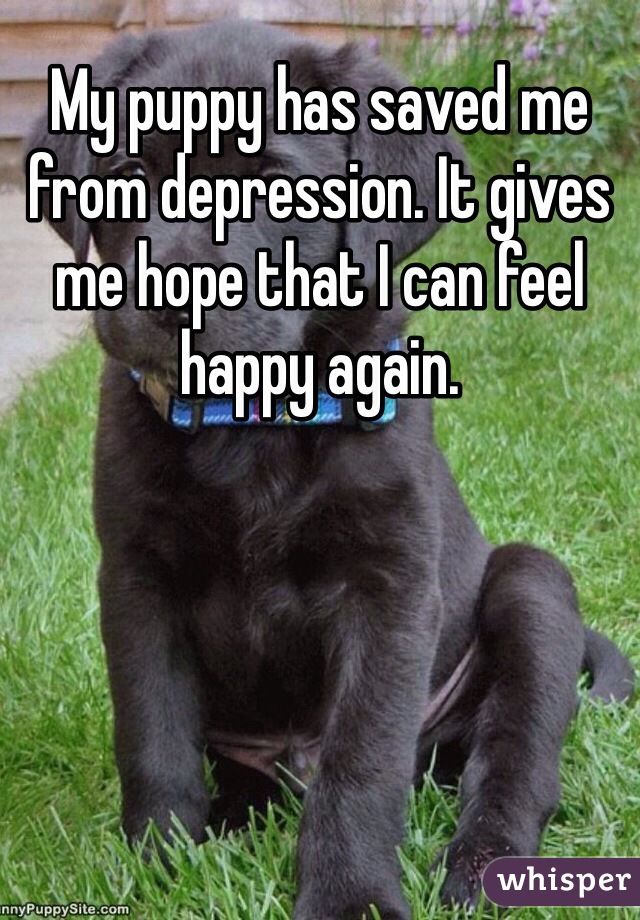 My puppy has saved me from depression. It gives me hope that I can feel happy again.