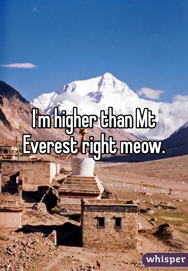 I'm higher than Mt Everest right meow.