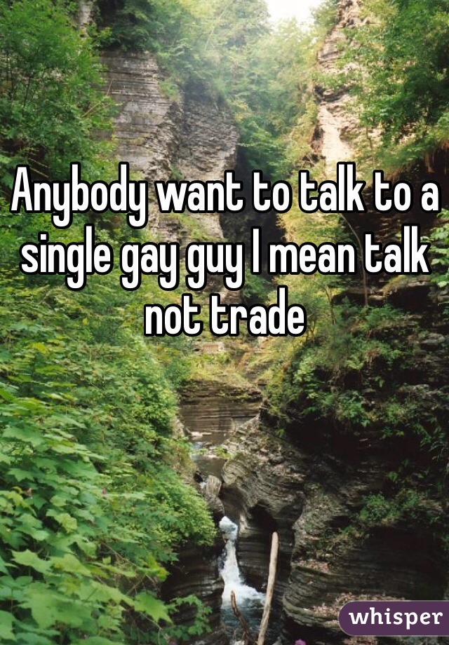 Anybody want to talk to a single gay guy I mean talk not trade
