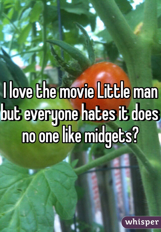 I love the movie Little man but everyone hates it does no one like midgets?