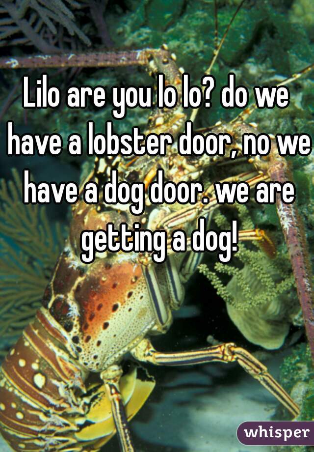 Lilo are you lo lo? do we have a lobster door, no we have a dog door. we are getting a dog!