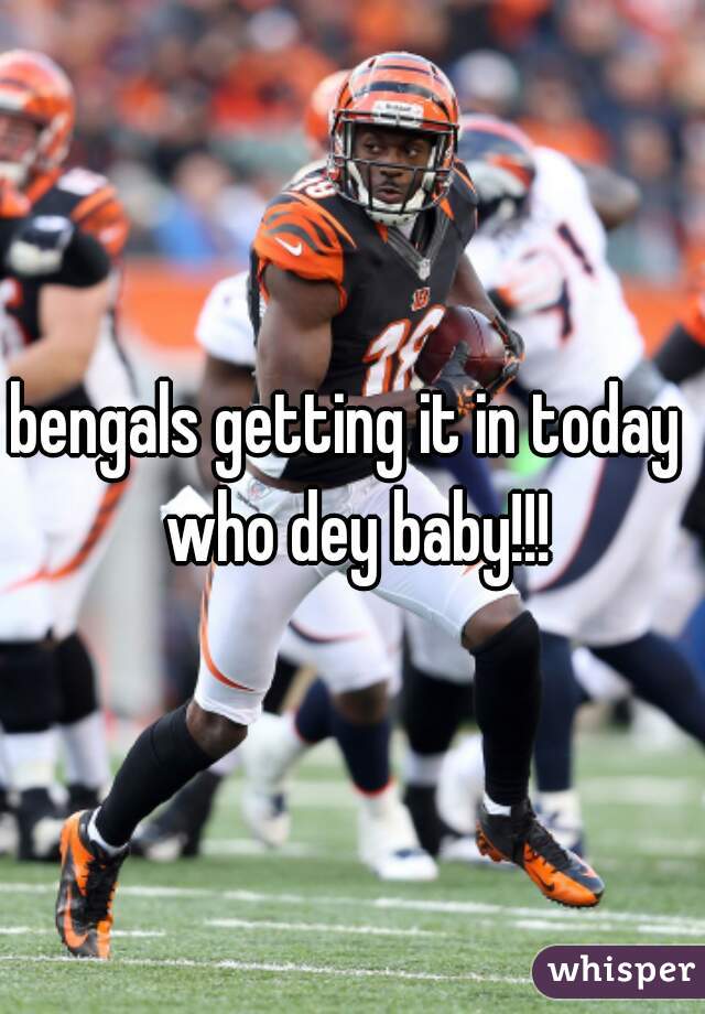 bengals getting it in today  who dey baby!!!