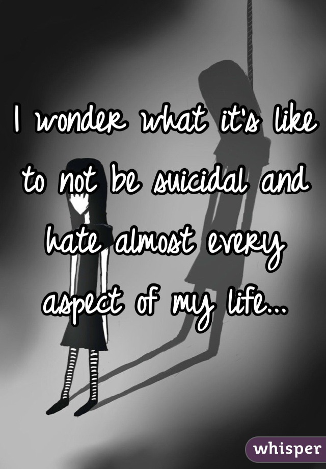 I wonder what it's like to not be suicidal and hate almost every aspect of my life...