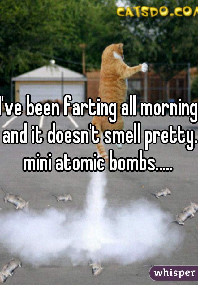 I've been farting all morning and it doesn't smell pretty. mini atomic bombs..... 