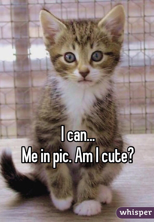 I can...
Me in pic. Am I cute?
