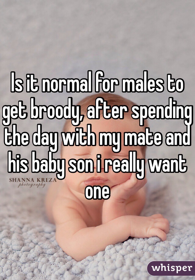 Is it normal for males to get broody, after spending the day with my mate and his baby son i really want one 