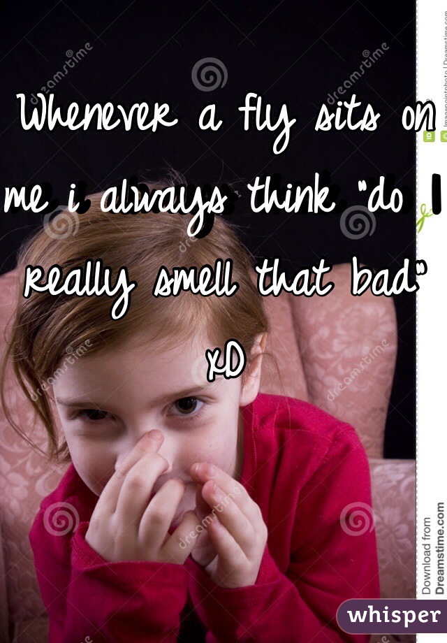 Whenever a fly sits on me i always think "do I really smell that bad" xD
