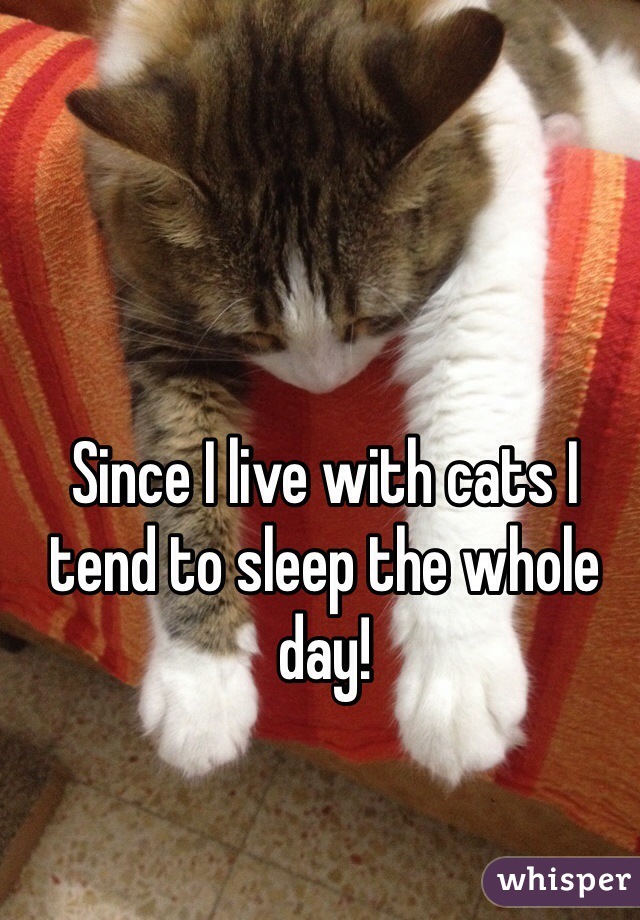 Since I live with cats I tend to sleep the whole day!
