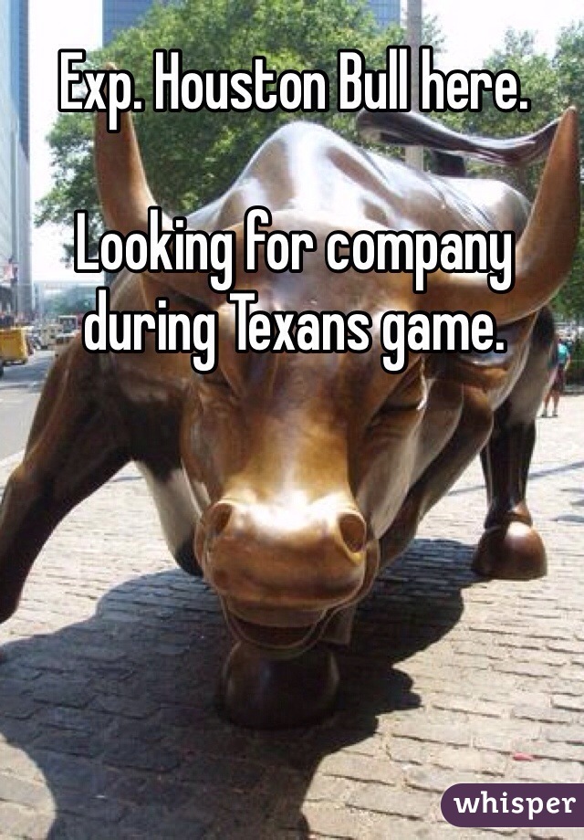 Exp. Houston Bull here. 

Looking for company during Texans game. 