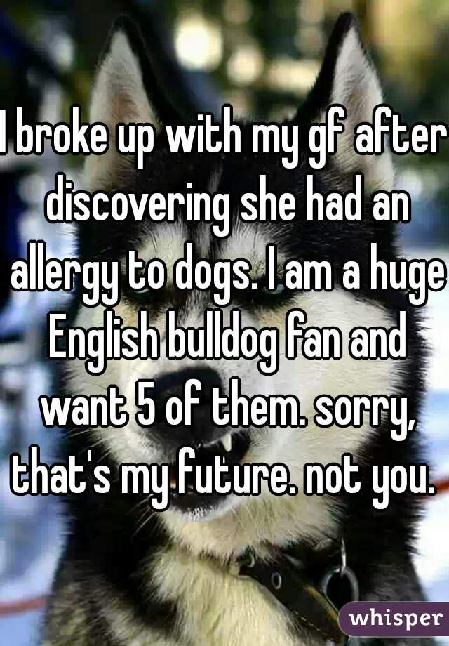 I broke up with my gf after discovering she had an allergy to dogs. I am a huge English bulldog fan and want 5 of them. sorry, that's my future. not you. 