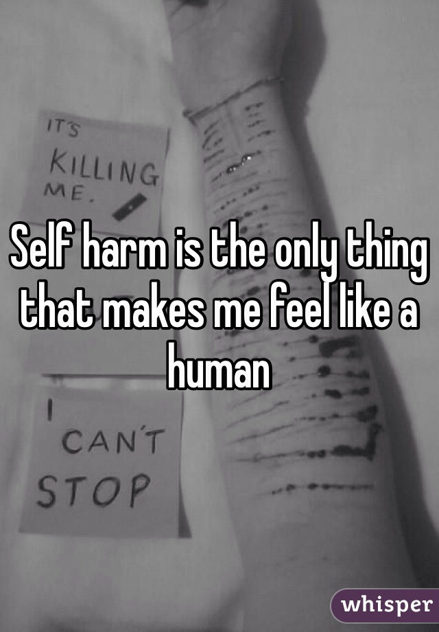 Self harm is the only thing that makes me feel like a human