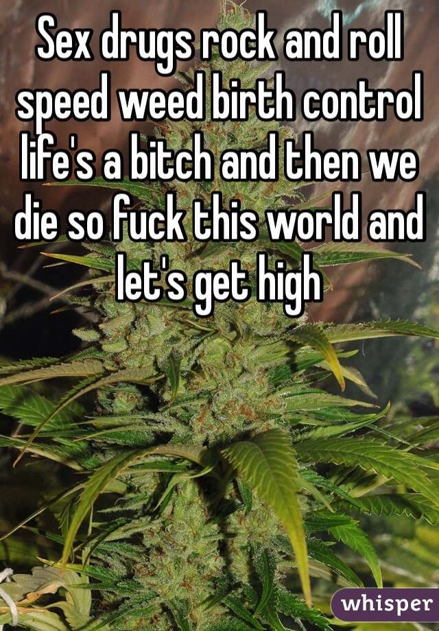 Sex drugs rock and roll speed weed birth control life's a bitch and then we die so fuck this world and let's get high 