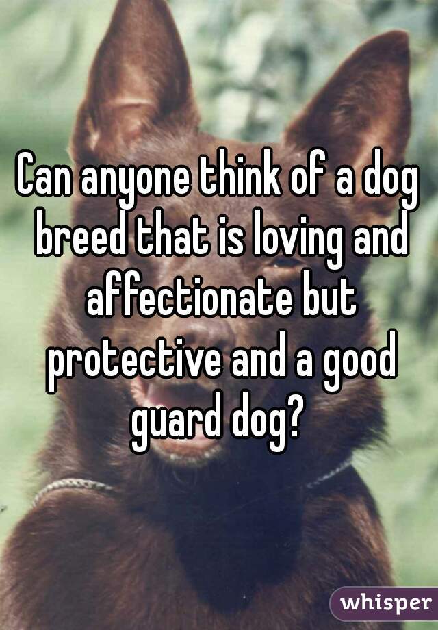 Can anyone think of a dog breed that is loving and affectionate but protective and a good guard dog? 